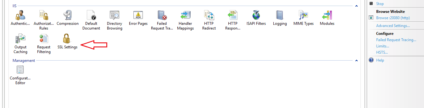 The IIS section of the Mailscape site home page with SSL Settings highlighted
